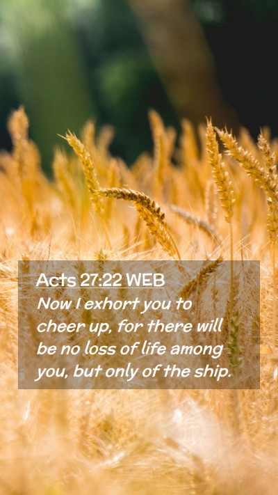 Picture 02 - Acts 27:22 WEB Mobile Phone Wallpaper - Now I exhort you to cheer up, for there will be - Mobile Bible Verse Wallpaper