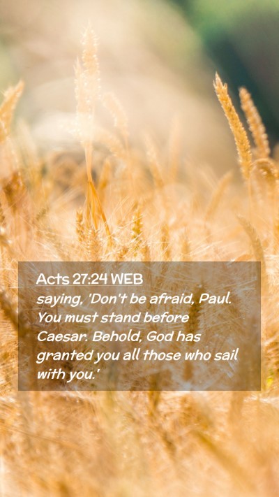 Picture 02 - Acts 27:24 WEB Mobile Phone Wallpaper - saying, 'Don't be afraid, Paul. You must stand - Mobile Bible Verse Wallpaper