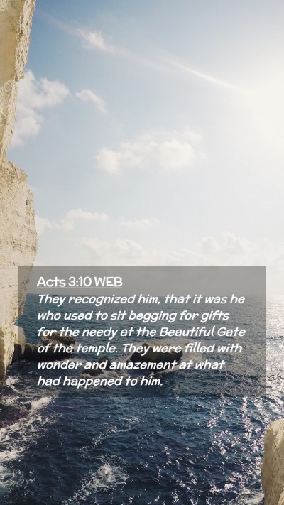 Picture 02 - Acts 3:10 WEB Mobile Phone Wallpaper - They recognized him, that it was he who used to - Mobile Bible Verse Wallpaper