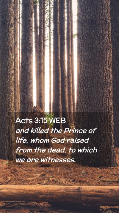 Picture 02 - Acts 3:15 WEB Mobile Phone Wallpaper - and killed the Prince of life, whom God raised - Mobile Bible Verse Wallpaper