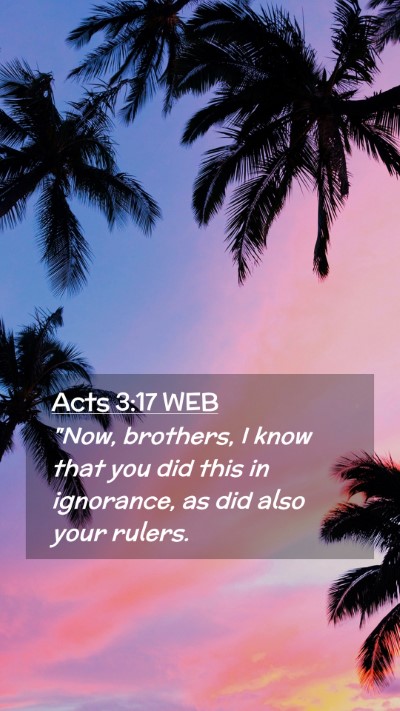 Picture 02 - Acts 3:17 WEB Mobile Phone Wallpaper - 