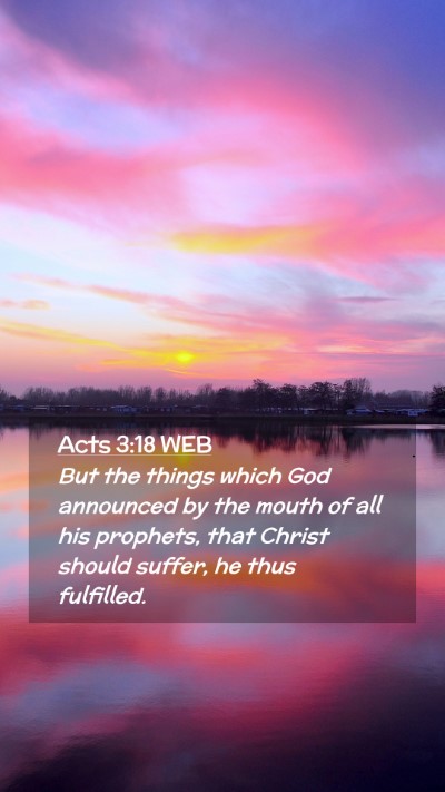 Picture 02 - Acts 3:18 WEB Mobile Phone Wallpaper - But the things which God announced by the mouth - Mobile Bible Verse Wallpaper