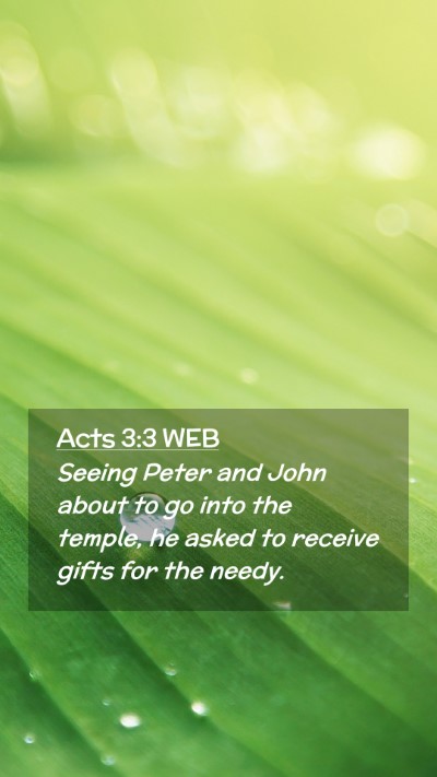 Picture 02 - Acts 3:3 WEB Mobile Phone Wallpaper - Seeing Peter and John about to go into the - Mobile Bible Verse Wallpaper