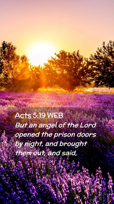 Picture 02 - Acts 5:19 WEB Mobile Phone Wallpaper - But an angel of the Lord opened the prison doors - Mobile Bible Verse Wallpaper