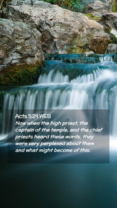 Picture 02 - Acts 5:24 WEB Mobile Phone Wallpaper - Now when the high priest, the captain of the - Mobile Bible Verse Wallpaper