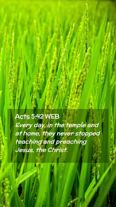 Picture 02 - Acts 5:42 WEB Mobile Phone Wallpaper - Every day, in the temple and at home, they never - Mobile Bible Verse Wallpaper
