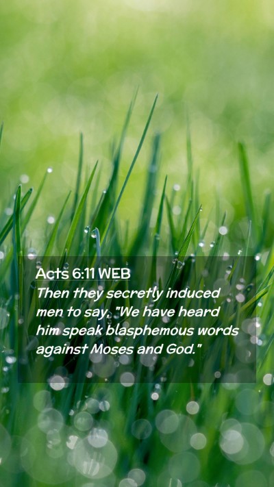 Picture 02 - Acts 6:11 WEB Mobile Phone Wallpaper - Then they secretly induced men to say, 