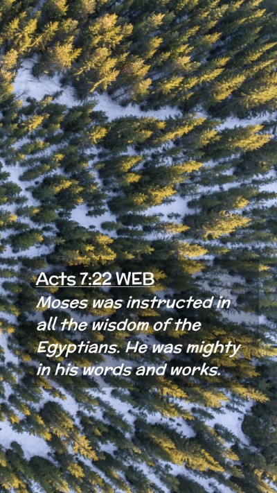 Picture 02 - Acts 7:22 WEB Mobile Phone Wallpaper - Moses was instructed in all the wisdom of the - Mobile Bible Verse Wallpaper