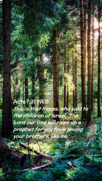 Picture 02 - Acts 7:37 WEB Mobile Phone Wallpaper - This is that Moses, who said to the children of - Mobile Bible Verse Wallpaper