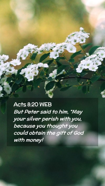 Picture 02 - Acts 8:20 WEB Mobile Phone Wallpaper - But Peter said to him, 