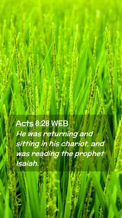 Picture 02 - Acts 8:28 WEB Mobile Phone Wallpaper - He was returning and sitting in his chariot, and - Mobile Bible Verse Wallpaper