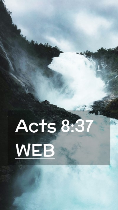 Picture 02 - Acts 8:37 WEB Mobile Phone Wallpaper -  - Mobile Bible Verse Wallpaper