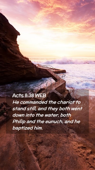 Picture 02 - Acts 8:38 WEB Mobile Phone Wallpaper - He commanded the chariot to stand still, and they - Mobile Bible Verse Wallpaper