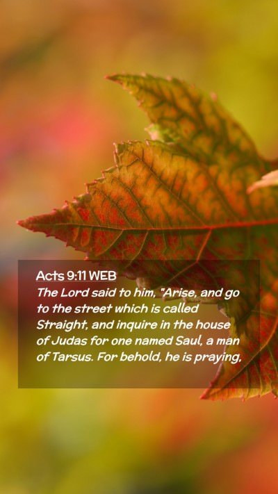 Picture 02 - Acts 9:11 WEB Mobile Phone Wallpaper - The Lord said to him, 