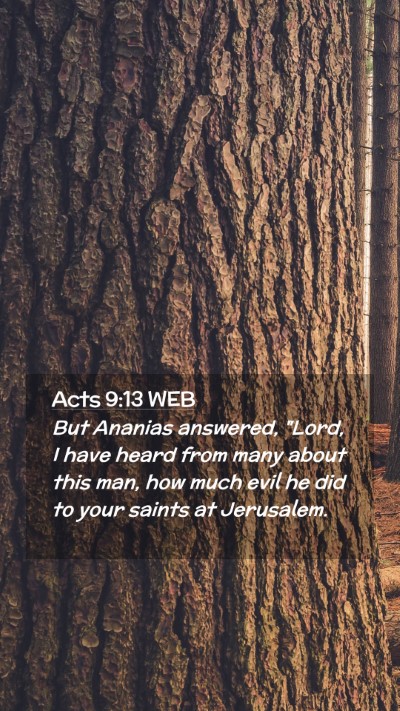 Picture 02 - Acts 9:13 WEB Mobile Phone Wallpaper - But Ananias answered, 