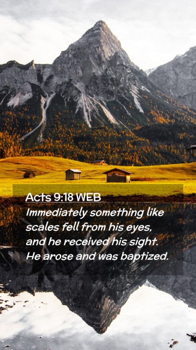 Picture 02 - Acts 9:18 WEB Mobile Phone Wallpaper - Immediately something like scales fell from his - Mobile Bible Verse Wallpaper