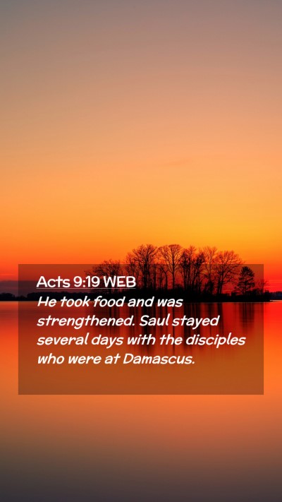 Picture 02 - Acts 9:19 WEB Mobile Phone Wallpaper - He took food and was strengthened. Saul stayed - Mobile Bible Verse Wallpaper