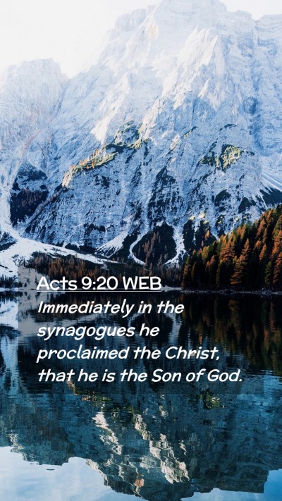 Picture 02 - Acts 9:20 WEB Mobile Phone Wallpaper - Immediately in the synagogues he proclaimed the - Mobile Bible Verse Wallpaper