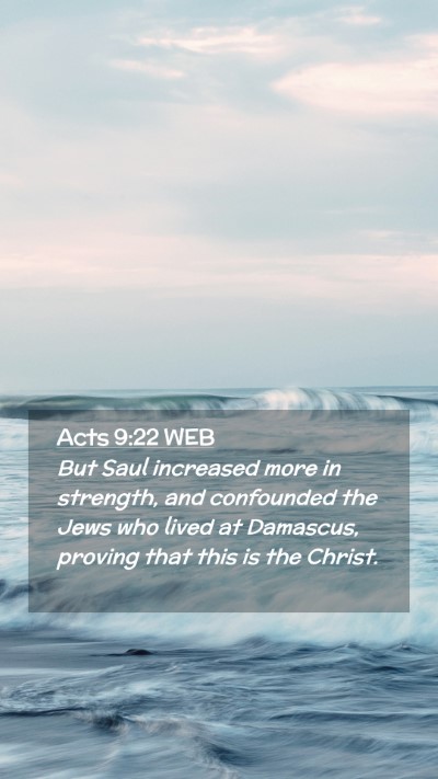 Picture 02 - Acts 9:22 WEB Mobile Phone Wallpaper - But Saul increased more in strength, and - Mobile Bible Verse Wallpaper