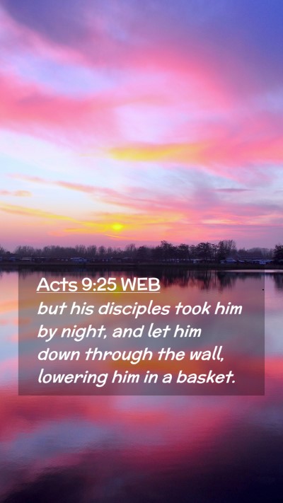 Picture 02 - Acts 9:25 WEB Mobile Phone Wallpaper - but his disciples took him by night, and let him - Mobile Bible Verse Wallpaper