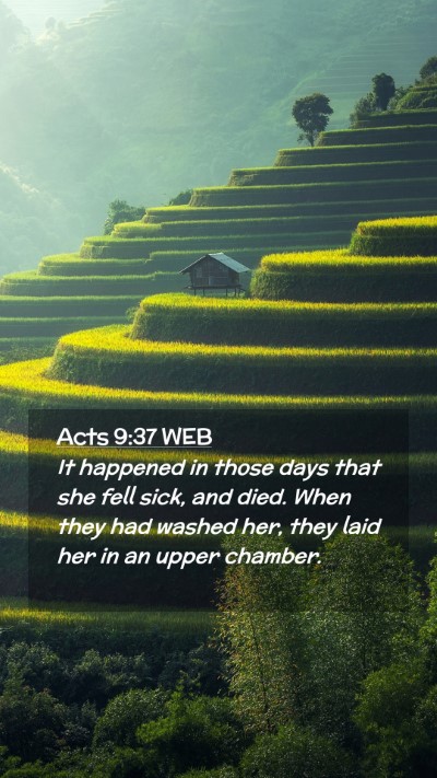 Picture 02 - Acts 9:37 WEB Mobile Phone Wallpaper - It happened in those days that she fell sick, and - Mobile Bible Verse Wallpaper