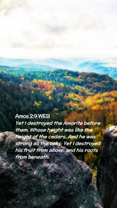 Picture 02 - Amos 2:9 WEB Mobile Phone Wallpaper - Yet I destroyed the Amorite before them, Whose - Mobile Bible Verse Wallpaper