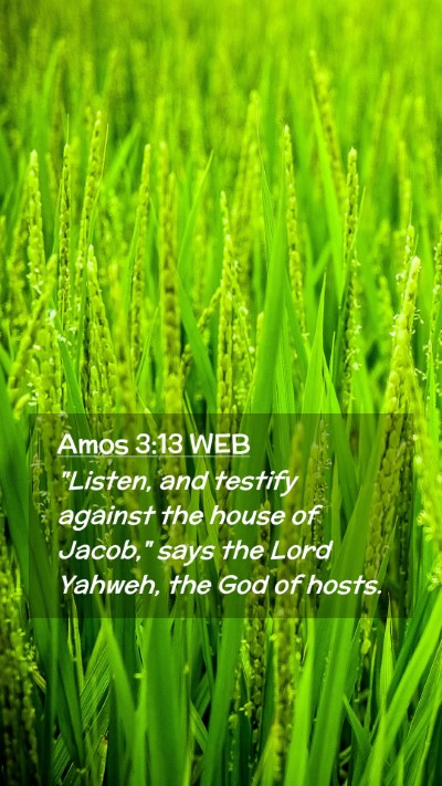 Picture 02 - Amos 3:13 WEB Mobile Phone Wallpaper - 