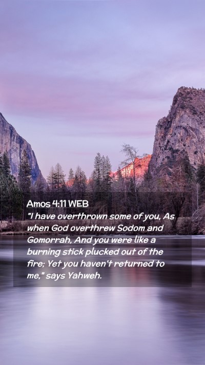 Picture 02 - Amos 4:11 WEB Mobile Phone Wallpaper - 