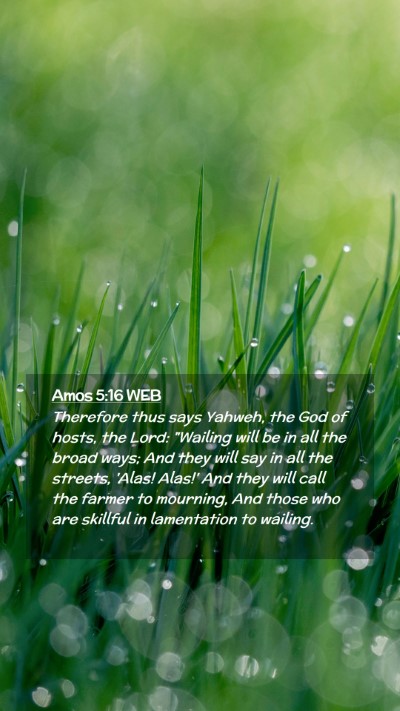 Picture 02 - Amos 5:16 WEB Mobile Phone Wallpaper - Therefore thus says Yahweh, the God of hosts, the - Mobile Bible Verse Wallpaper