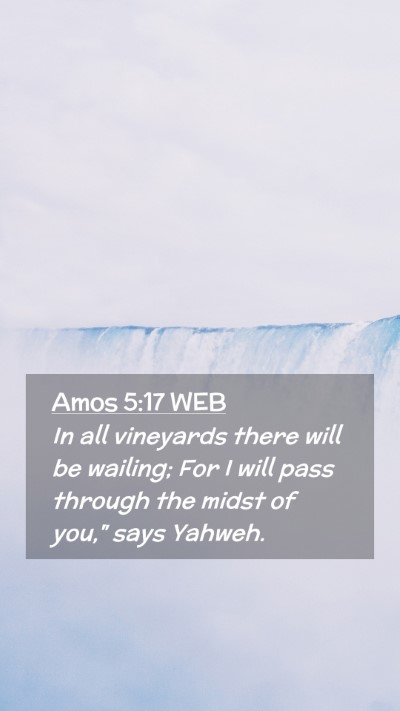 Picture 02 - Amos 5:17 WEB Mobile Phone Wallpaper - In all vineyards there will be wailing; For I - Mobile Bible Verse Wallpaper