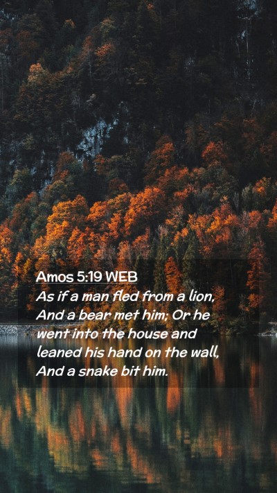 Picture 02 - Amos 5:19 WEB Mobile Phone Wallpaper - As if a man fled from a lion, And a bear met him; - Mobile Bible Verse Wallpaper