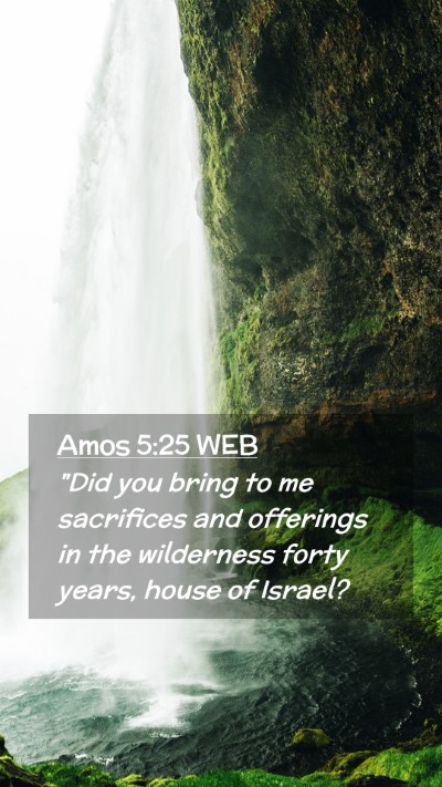 Picture 02 - Amos 5:25 WEB Mobile Phone Wallpaper - 