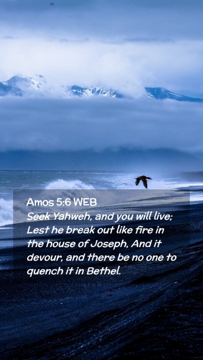 Picture 02 - Amos 5:6 WEB Mobile Phone Wallpaper - Seek Yahweh, and you will live; Lest he break out - Mobile Bible Verse Wallpaper