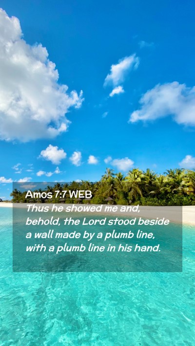 Picture 02 - Amos 7:7 WEB Mobile Phone Wallpaper - Thus he showed me and, behold, the Lord stood - Mobile Bible Verse Wallpaper