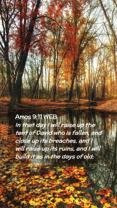 Picture 02 - Amos 9:11 WEB Mobile Phone Wallpaper - In that day I will raise up the tent of David who - Mobile Bible Verse Wallpaper