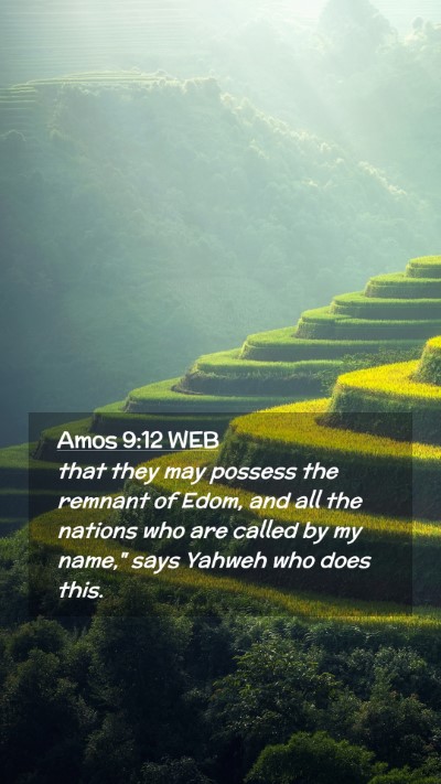 Picture 02 - Amos 9:12 WEB Mobile Phone Wallpaper - that they may possess the remnant of Edom, and - Mobile Bible Verse Wallpaper