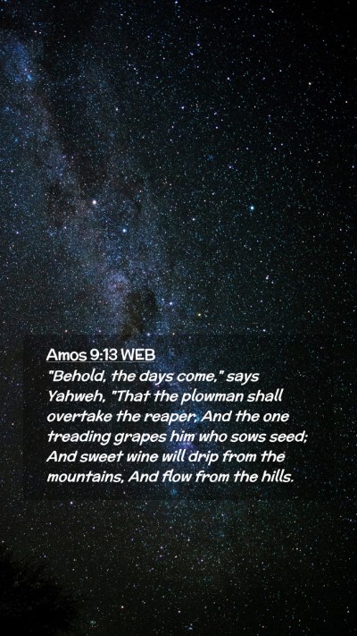 Picture 02 - Amos 9:13 WEB Mobile Phone Wallpaper - 