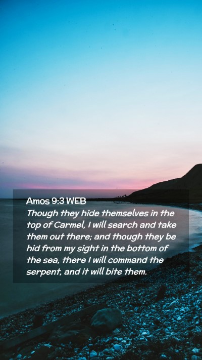 Picture 02 - Amos 9:3 WEB Mobile Phone Wallpaper - Though they hide themselves in the top of Carmel, - Mobile Bible Verse Wallpaper