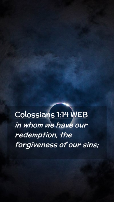Picture 02 - Colossians 1:14 WEB Mobile Phone Wallpaper - in whom we have our redemption, the forgiveness - Mobile Bible Verse Wallpaper