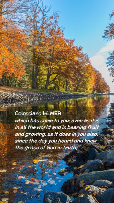 Picture 02 - Colossians 1:6 WEB Mobile Phone Wallpaper - which has come to you; even as it is in all the - Mobile Bible Verse Wallpaper