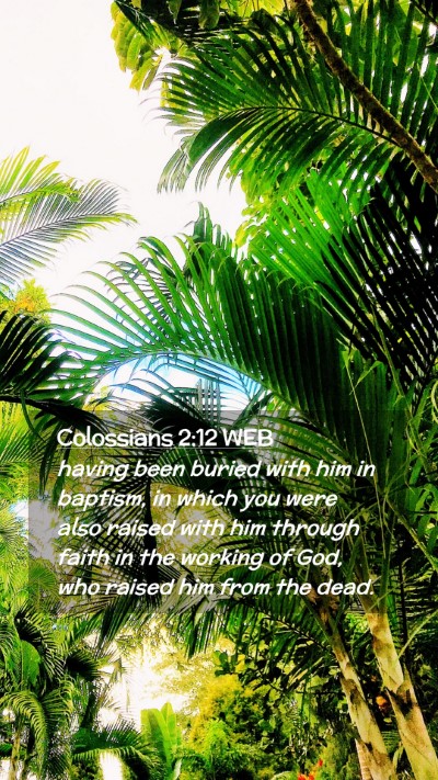 Picture 02 - Colossians 2:12 WEB Mobile Phone Wallpaper - having been buried with him in baptism, in which - Mobile Bible Verse Wallpaper