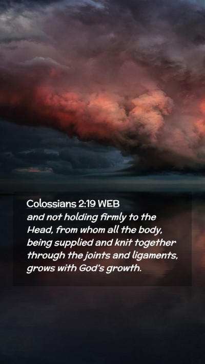 Picture 02 - Colossians 2:19 WEB Mobile Phone Wallpaper - and not holding firmly to the Head, from whom all - Mobile Bible Verse Wallpaper