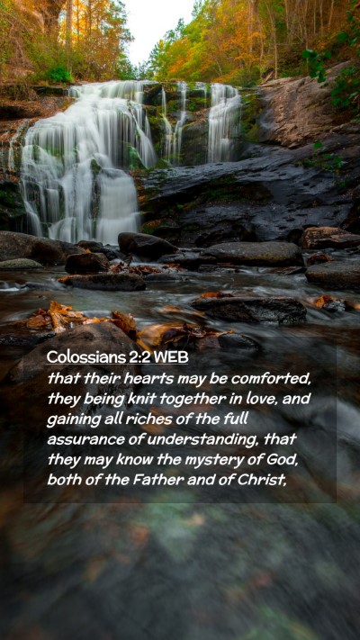 Picture 02 - Colossians 2:2 WEB Mobile Phone Wallpaper - that their hearts may be comforted, they being - Mobile Bible Verse Wallpaper