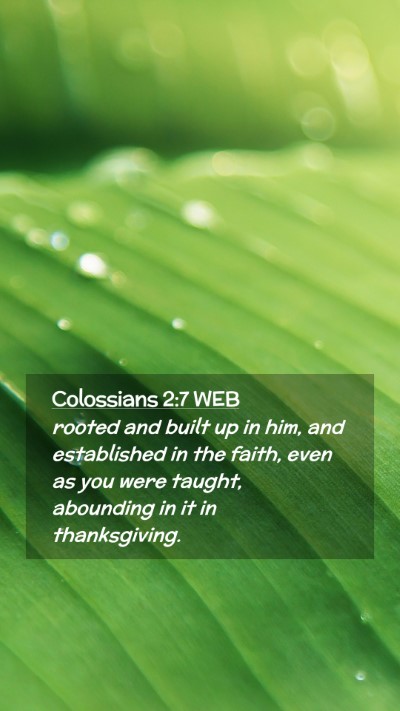Picture 02 - Colossians 2:7 WEB Mobile Phone Wallpaper - rooted and built up in him, and established in - Mobile Bible Verse Wallpaper