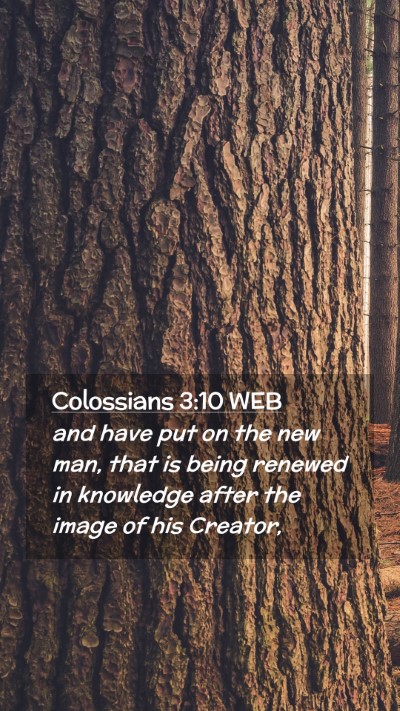 Picture 02 - Colossians 3:10 WEB Mobile Phone Wallpaper - and have put on the new man, that is being - Mobile Bible Verse Wallpaper