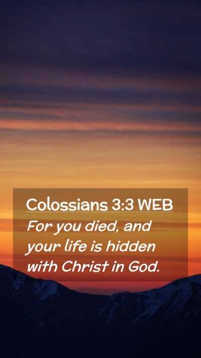 Picture 02 - Colossians 3:3 WEB Mobile Phone Wallpaper - For you died, and your life is hidden with Christ - Mobile Bible Verse Wallpaper