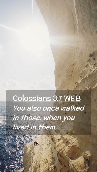 Picture 02 - Colossians 3:7 WEB Mobile Phone Wallpaper - You also once walked in those, when you lived in - Mobile Bible Verse Wallpaper