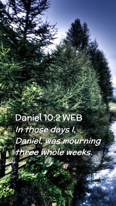 Picture 02 - Daniel 10:2 WEB Mobile Phone Wallpaper - In those days I, Daniel, was mourning three whole - Mobile Bible Verse Wallpaper