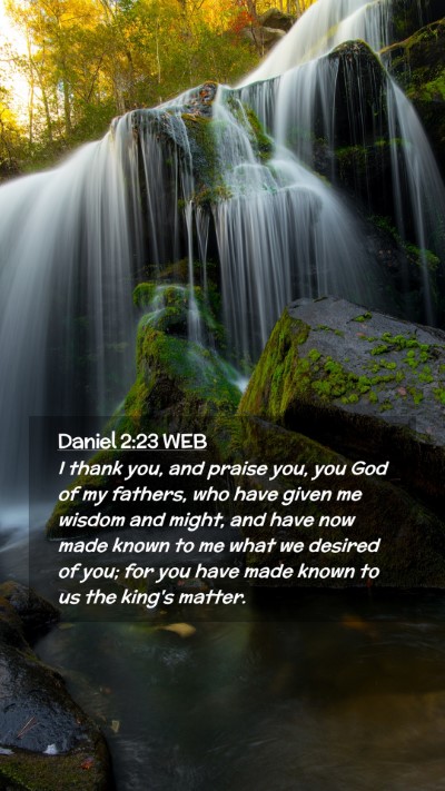 Picture 02 - Daniel 2:23 WEB Mobile Phone Wallpaper - I thank you, and praise you, you God of my - Mobile Bible Verse Wallpaper