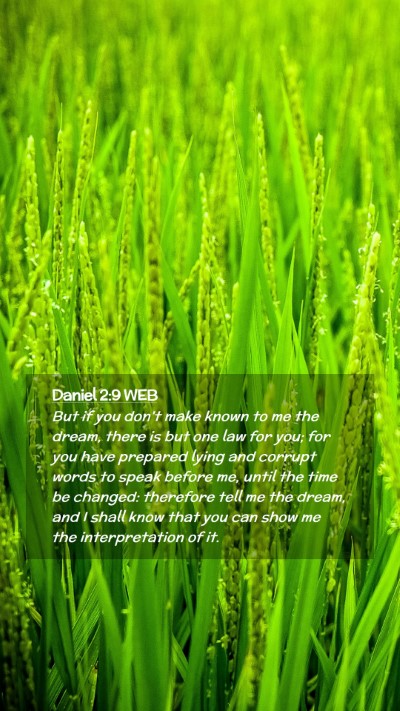 Picture 02 - Daniel 2:9 WEB Mobile Phone Wallpaper - But if you don't make known to me the dream, - Mobile Bible Verse Wallpaper